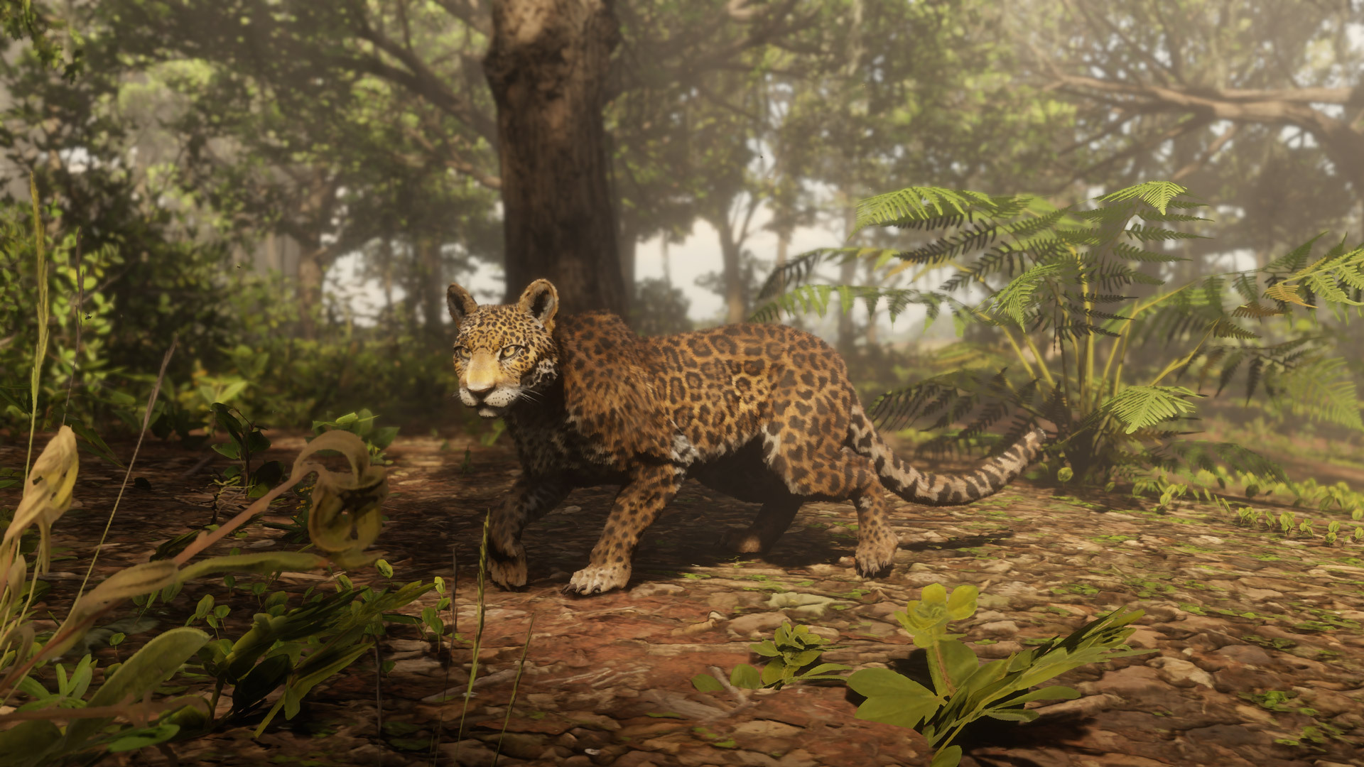 Mise à jour naturalisme - Image 2 - 1920p x 1080p - Picture by Rockstar Games - Red Dead Online