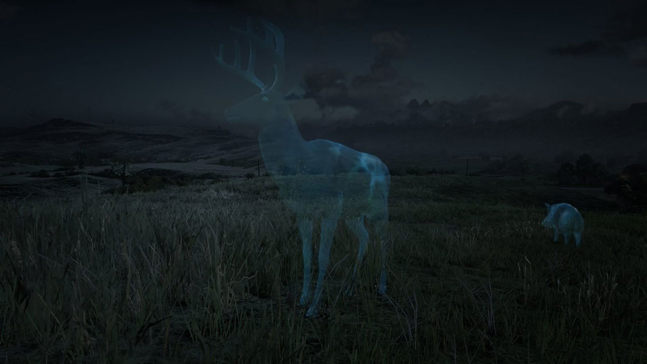 Cerf fantôme - 720p x 720p - Picture by RDO Guides - Red Dead Online Cerf fantôme - Red Dead Online