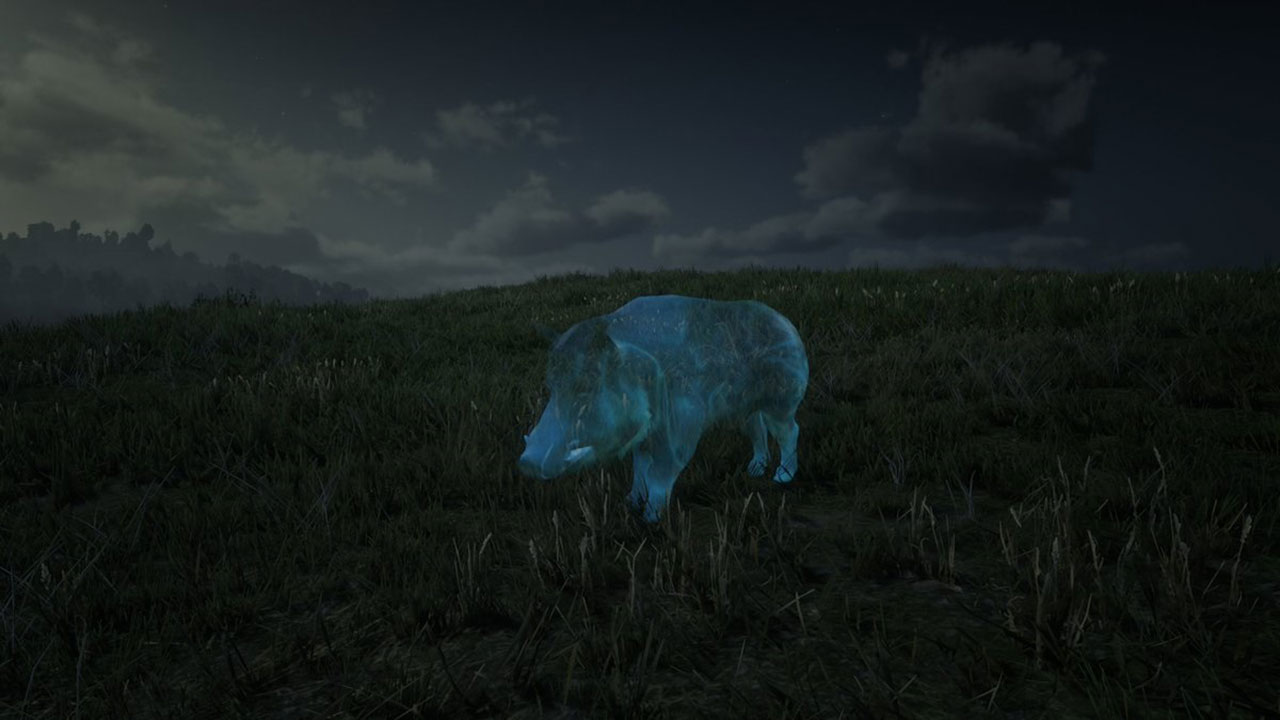 Sanglier fantôme - 720p x 720p - Picture by RDO Guides - Red Dead Online Sanglier fantôme - Red Dead Online
