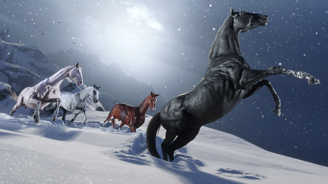 Cheval - Turkoman - Image 1 - 1280p x 720p - Picture by Rockstar Games - Red Dead Online