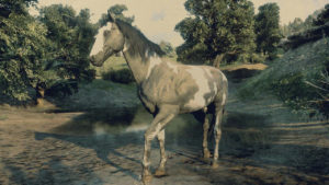American Paint - Overa Gris - Red Dead Online