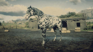 Appaloosa - Robe léopard - Red Dead Online