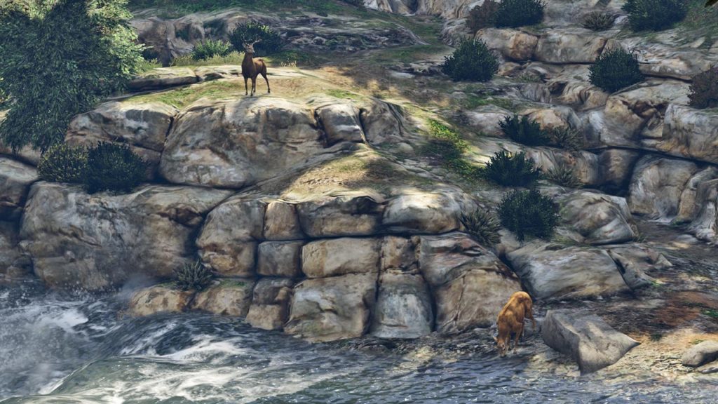 Deux cerfs au bord d'une rivière dans GTA Online
