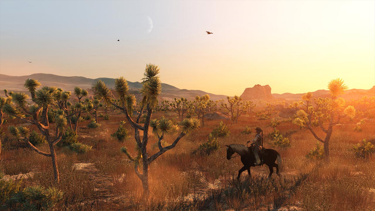 Image de la version PC de Red Dead Redemption
