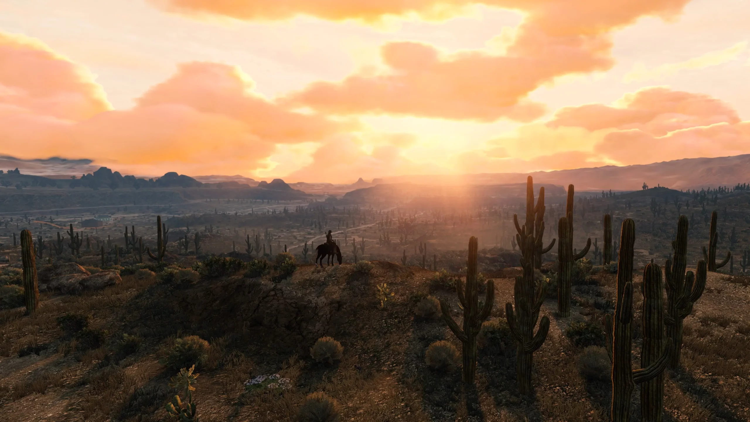Le protagoniste John Marston au loin, admirant le couché de soleil dans le désert.