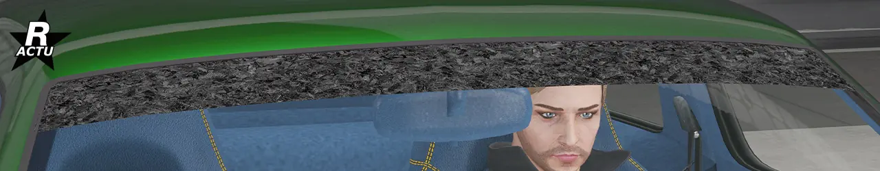 Pare-soleil en carbone brut sur le pare-brise avant du véhicule.