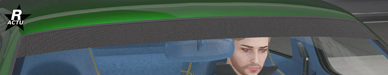 Pare-soleil en fibres de carbone sur le pare-brise avant du véhicule.