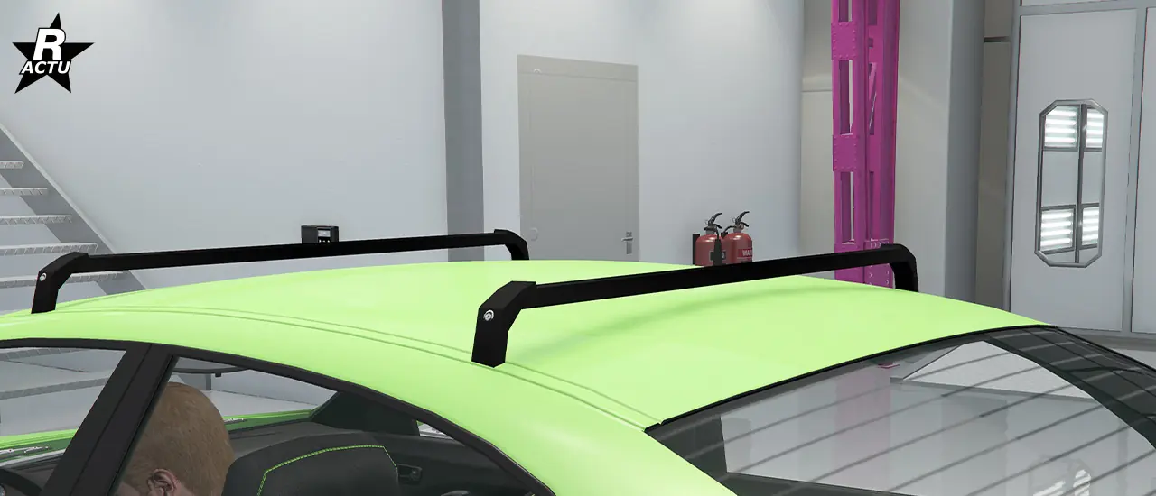 Deux galeries de toit noir fixées parallèlement.