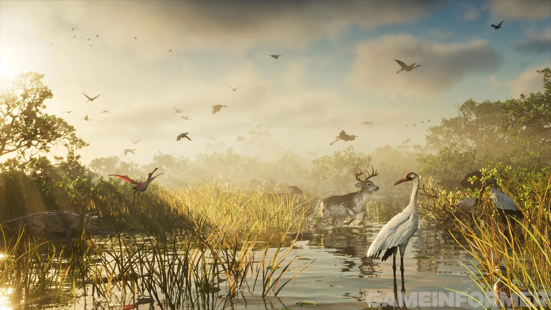 Marécage de l'État de Leonida avec plein d'oiseaux sur l'image.