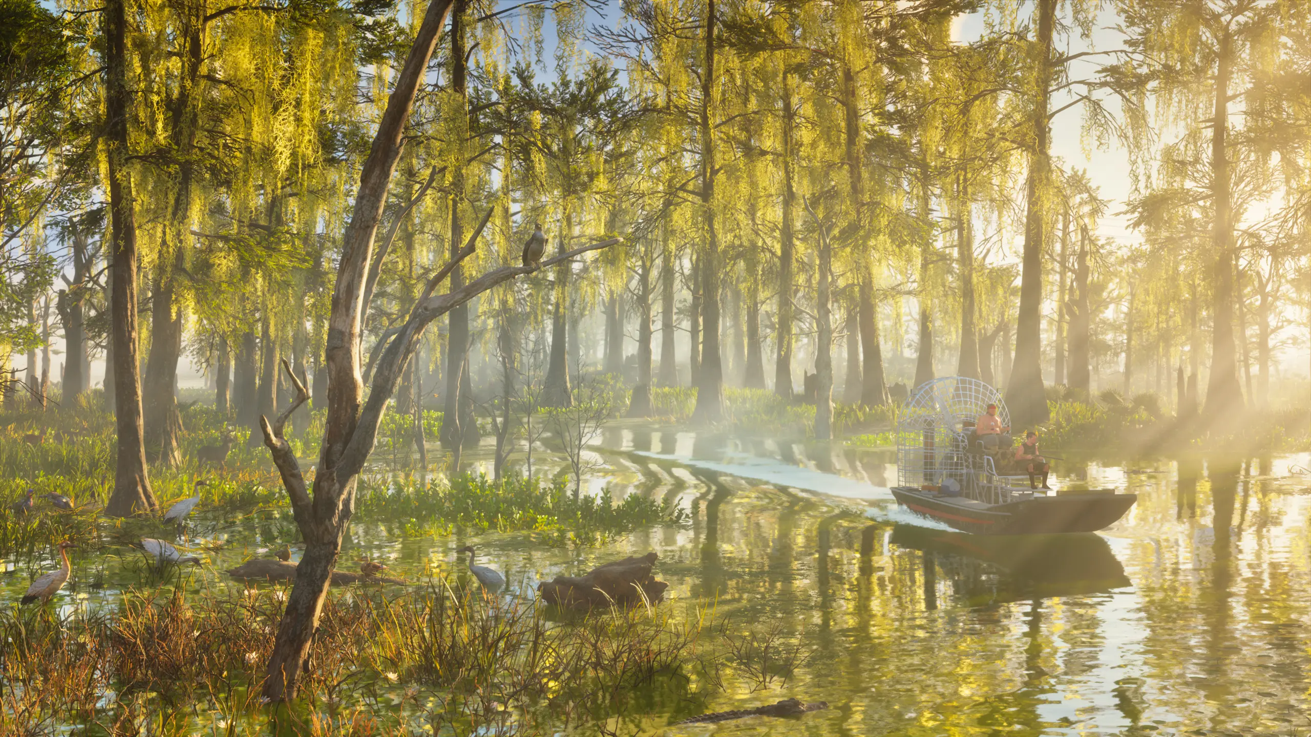 image des marécages de GTA VI avec un magnifique effet de lumière, où des PNJ traversent la zone à bord d'un aéroglisseur.